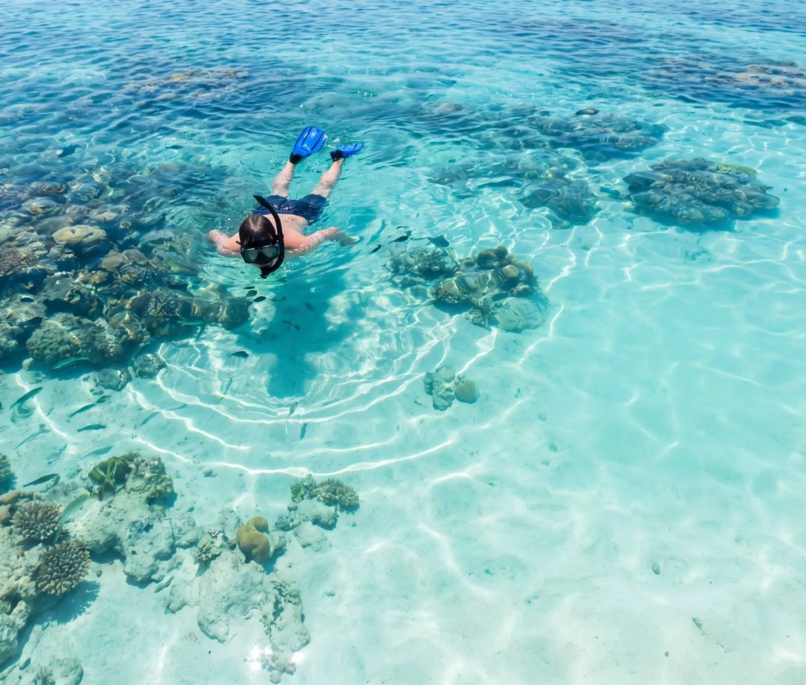 A snorkeller floating face-down over a bright reef, top-down