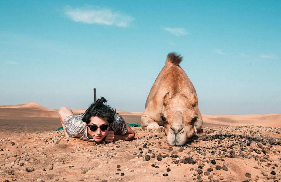 Add personality to your tours