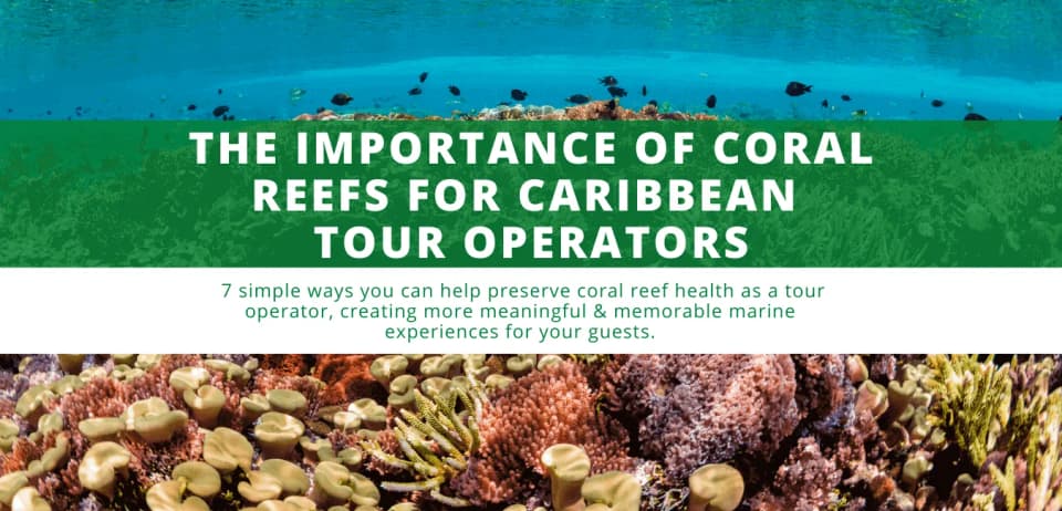 The Importance of Coral Reefs for Caribbean Tour Operators
